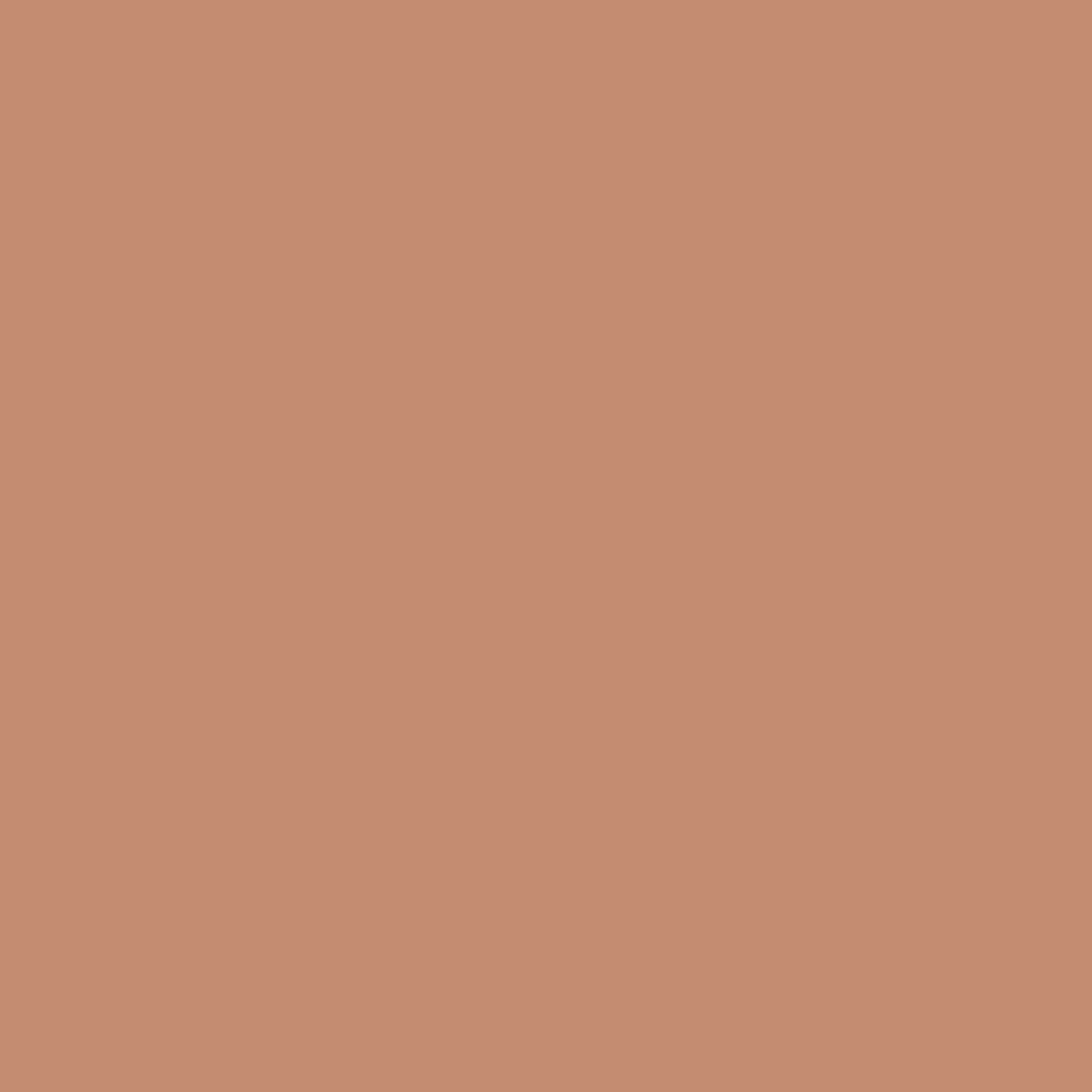 Peinture intérieure - Terracotta