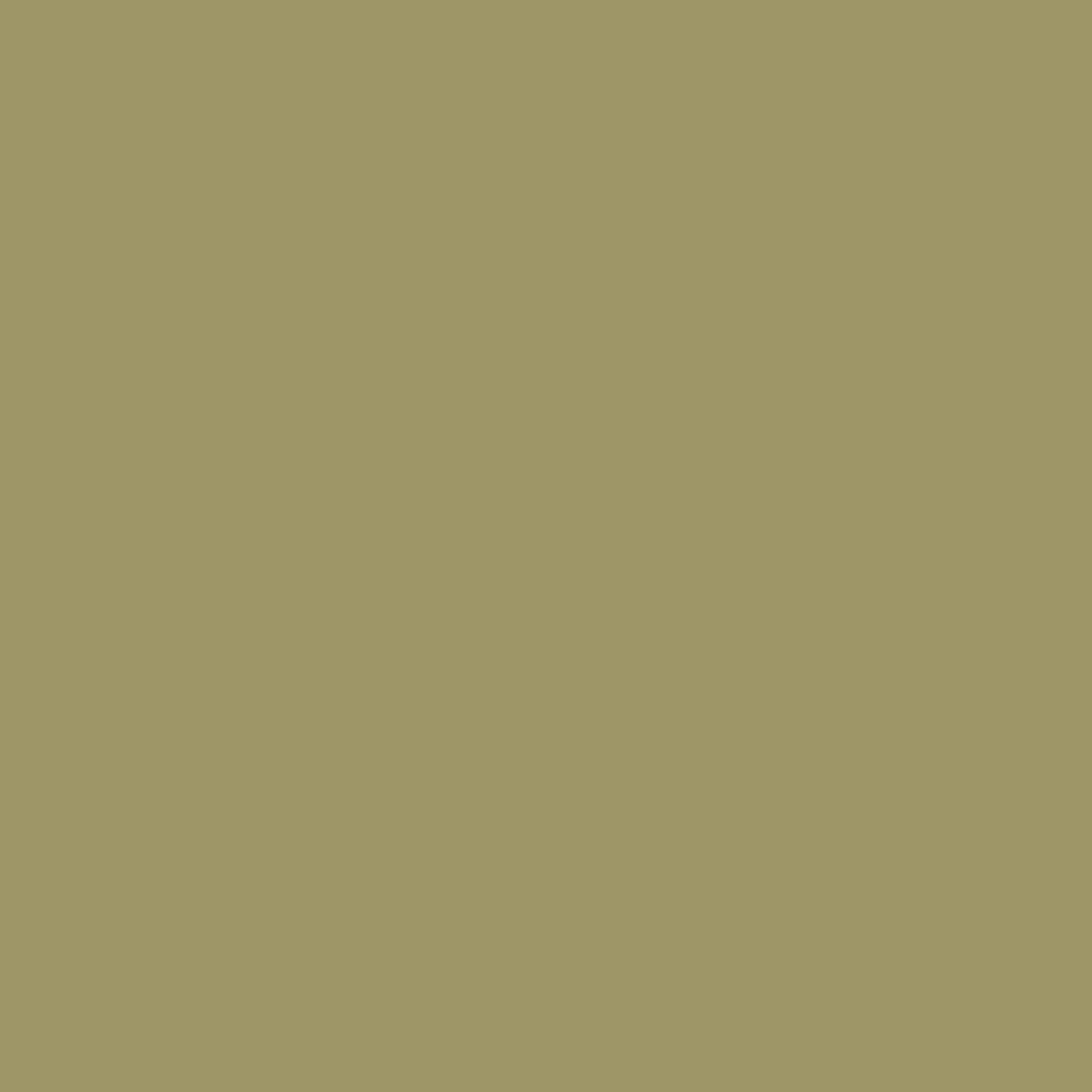 Peinture intérieure - Vert Mousse