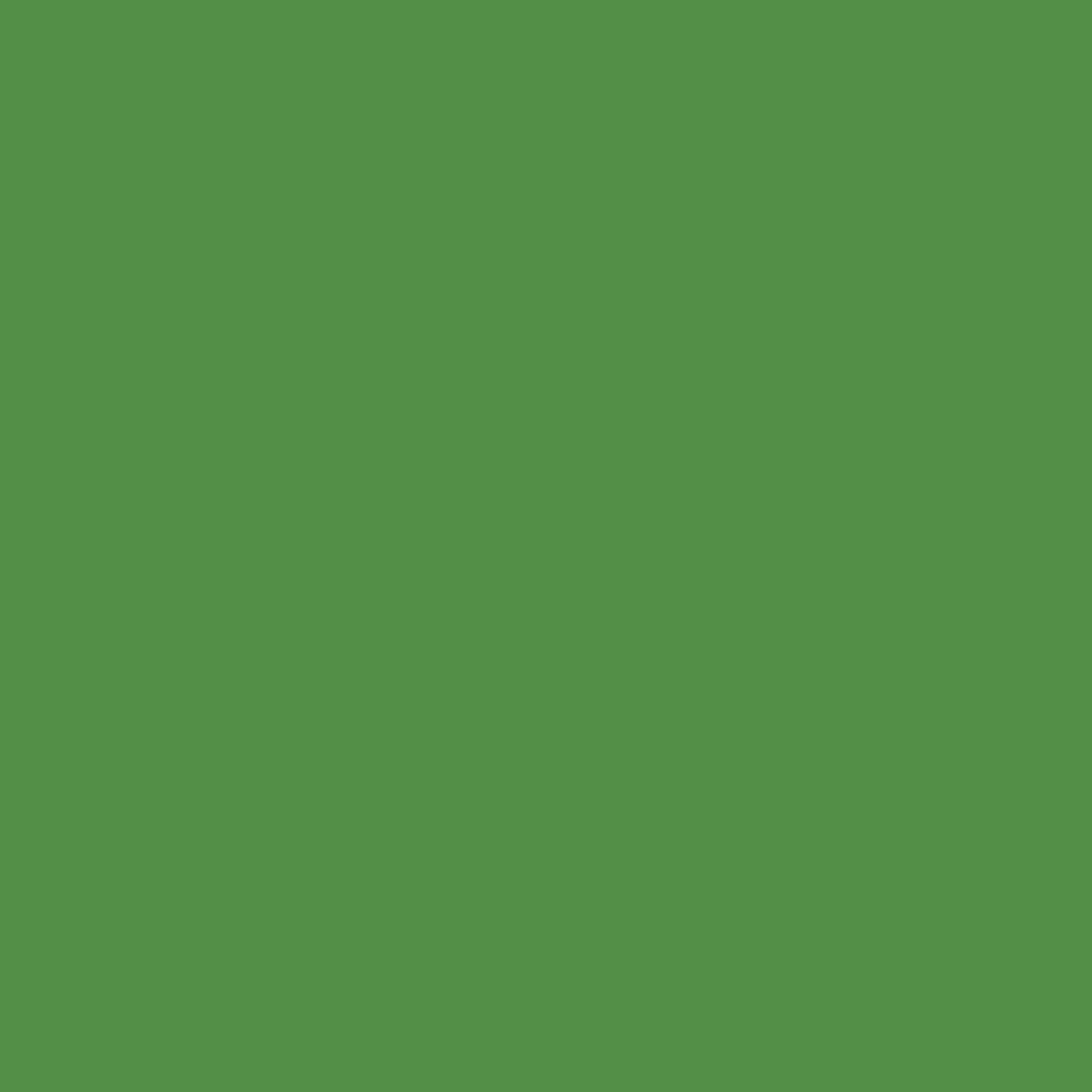 Peinture intérieure - Vert Vitaminé