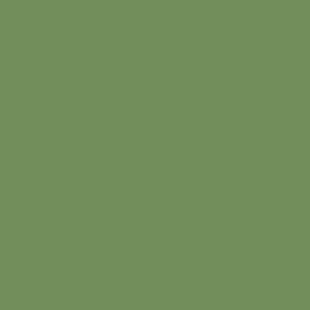 Peinture intérieure - Vert Olive