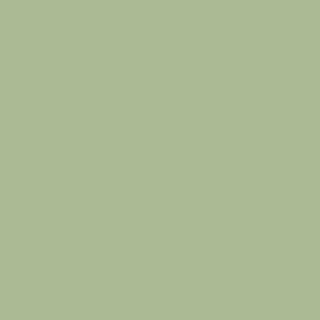 Peinture intérieure - Vert Sauge