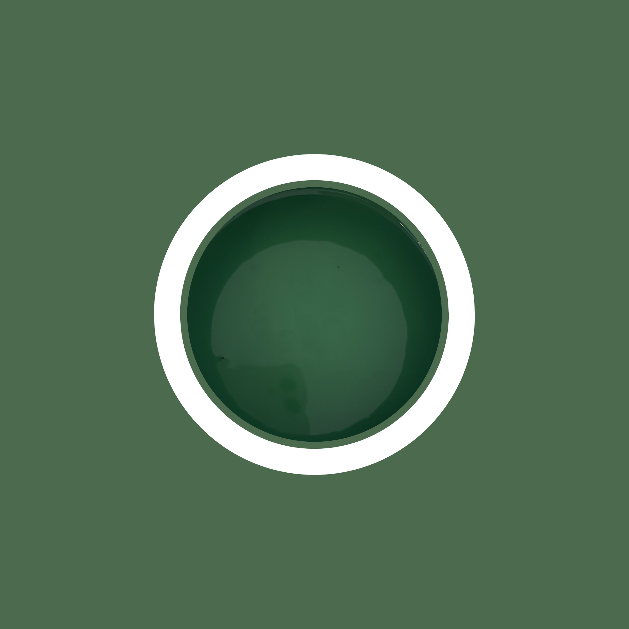 Peinture pour  meubles - Vert Forêt