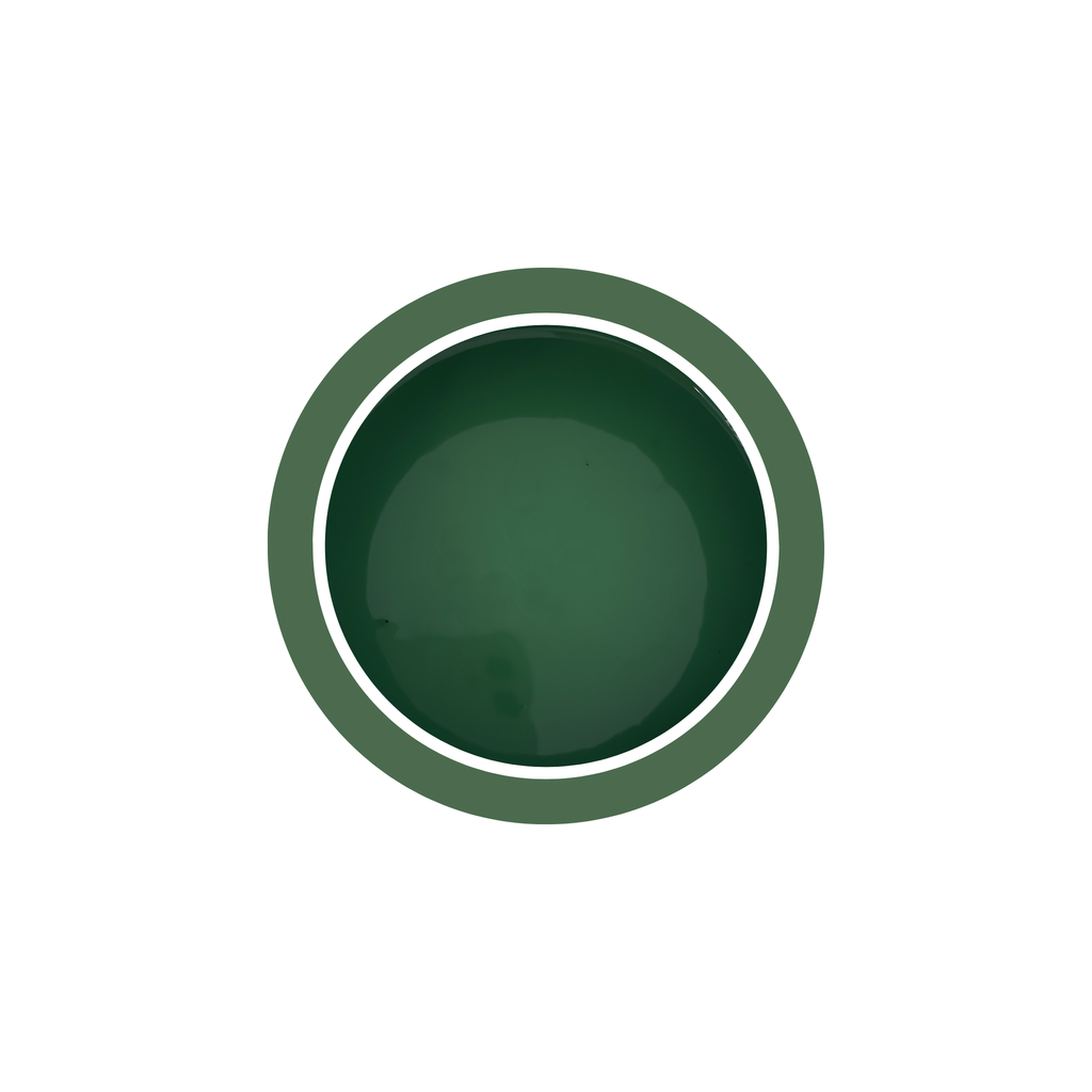 Peinture intérieure - Vert Forêt
