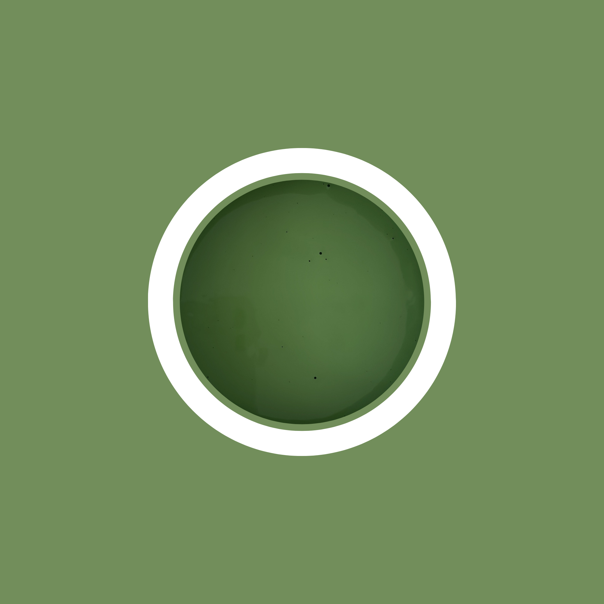 Peinture pour meubles - Vert Olive