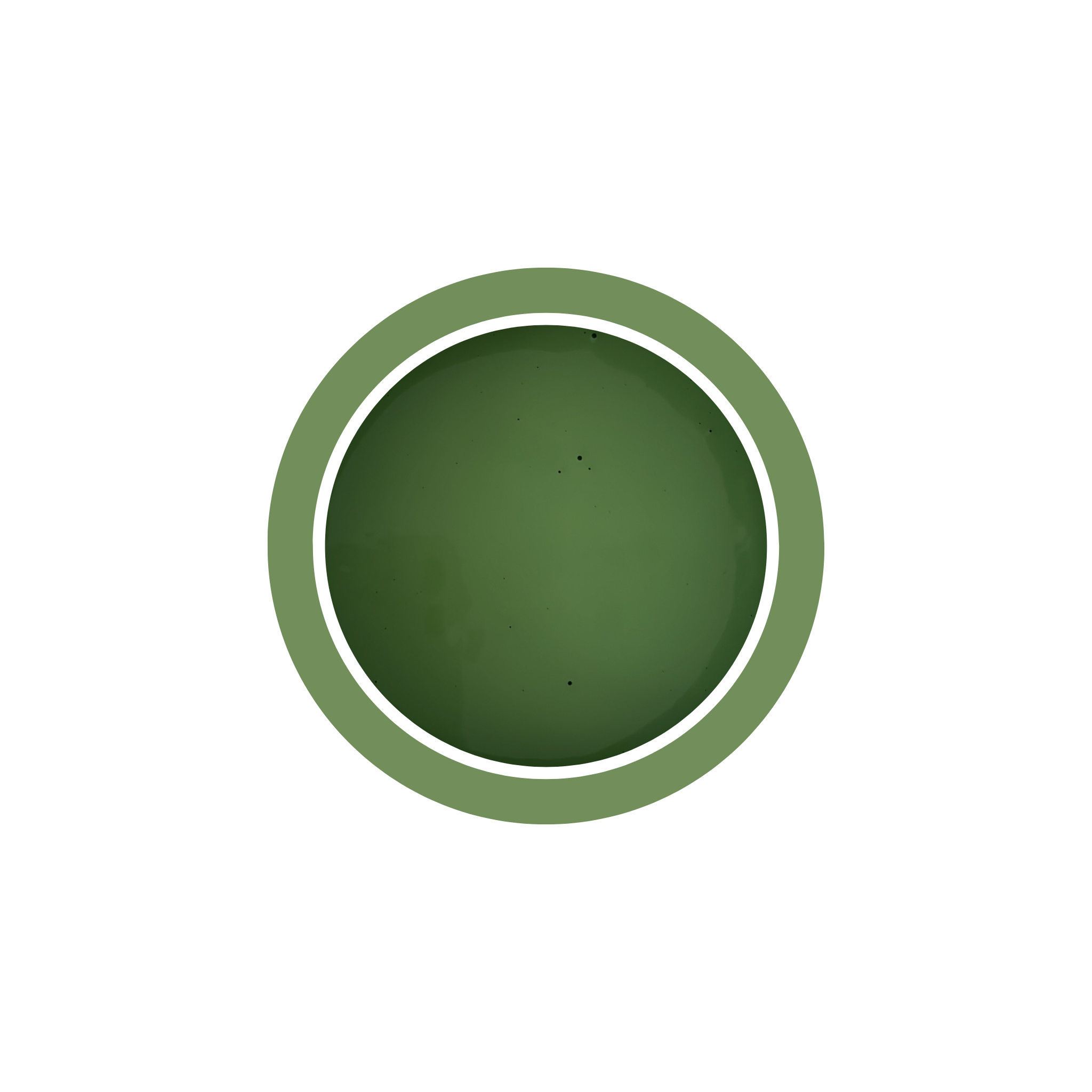Peinture pour meubles - Vert Olive