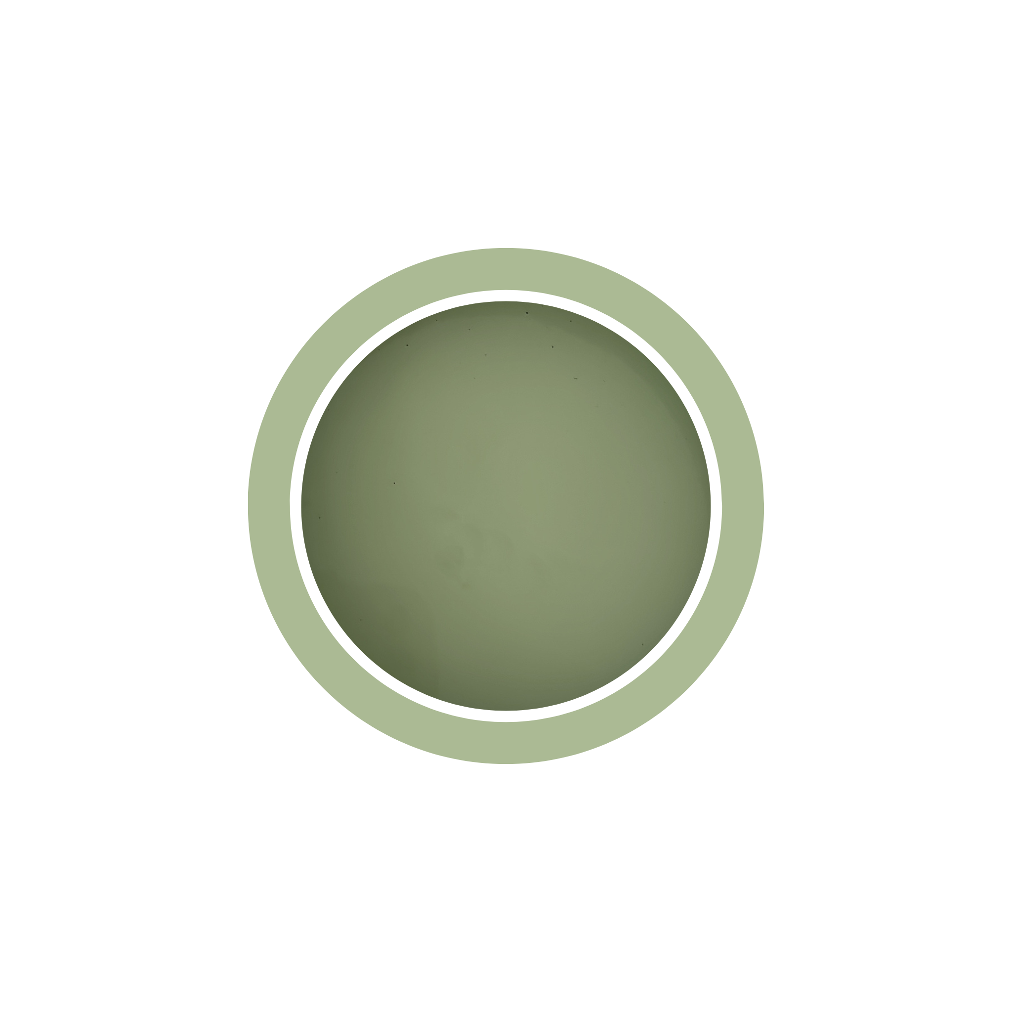 Peinture pour meubles - Vert Sauge